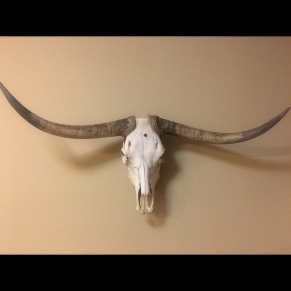 Meet your Posher, Jack - Picture 1 of 1